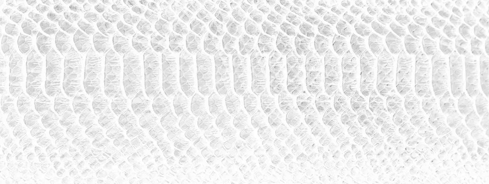 shape